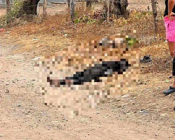 Desconocido fue encontrado sin vida a un lado del camino en Somotillo, Chinandega