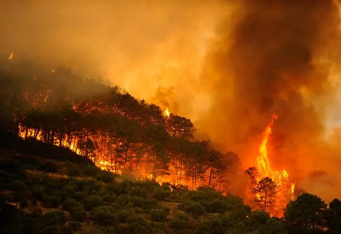 Los incendios arrasan en España una superficie cuatro veces mayor que en 2025