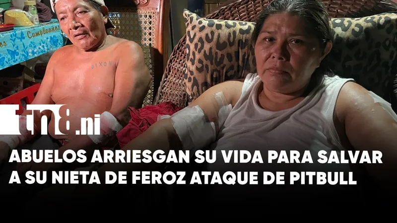 Pitbull ataca a niña de un año en Masaya; abuelos resultan heridos al intentar...
