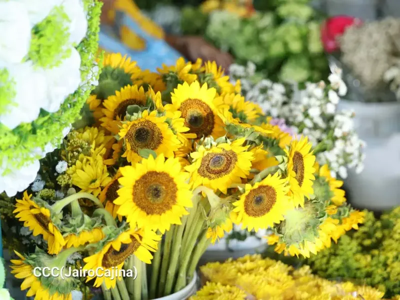 Flores desde 20 córdobas para recordar a los Fieles Difuntos