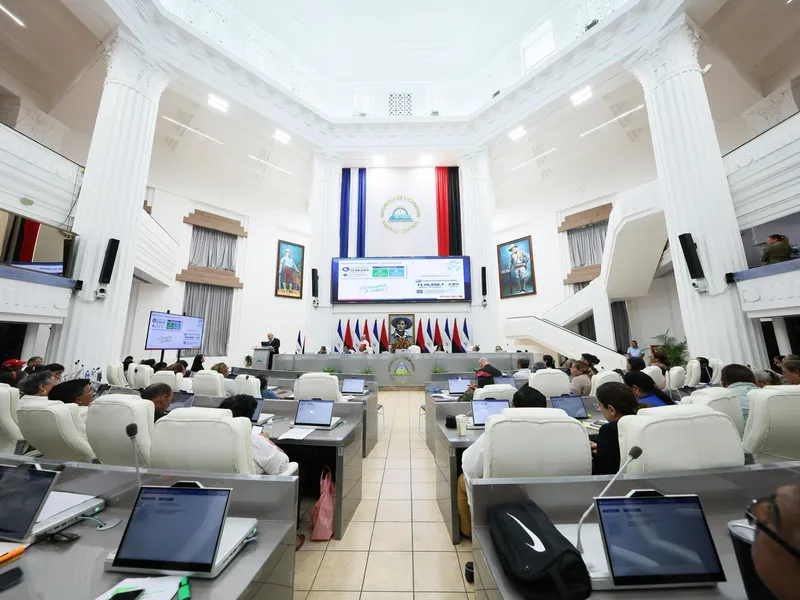 Aprueban en primera legislatura reforma constitucional para incorporar la figura de designados presidenciales