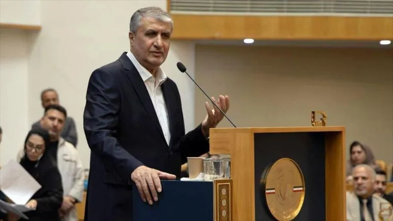 Irán: oposición a tecnología nuclear no afecta poder científico