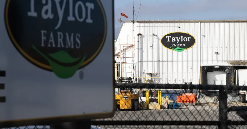 Taylor Farms retira del mercado salsa y guacamole por posible riesgo de salmonela