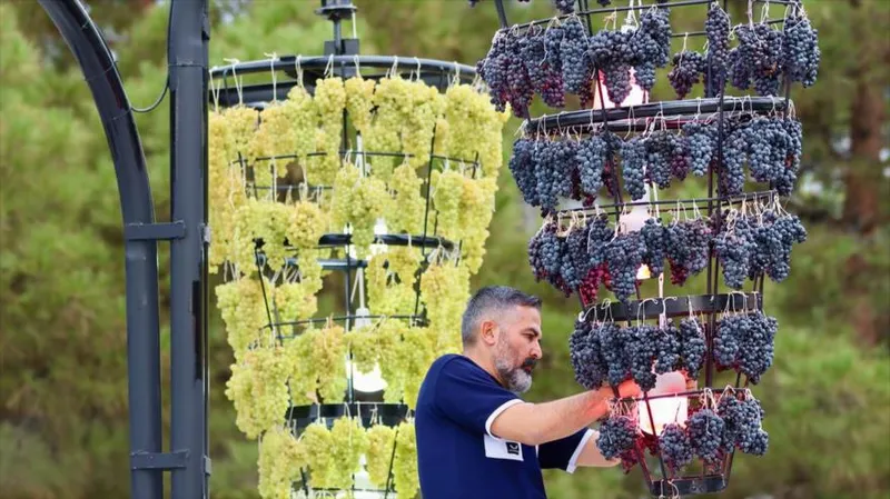 Irán revive sus tradiciones con el Festival de la Uva en Urmía