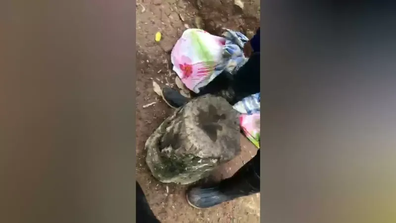Agricultor muere del madre susto al ser asaltado mientras fumigaba su parcela