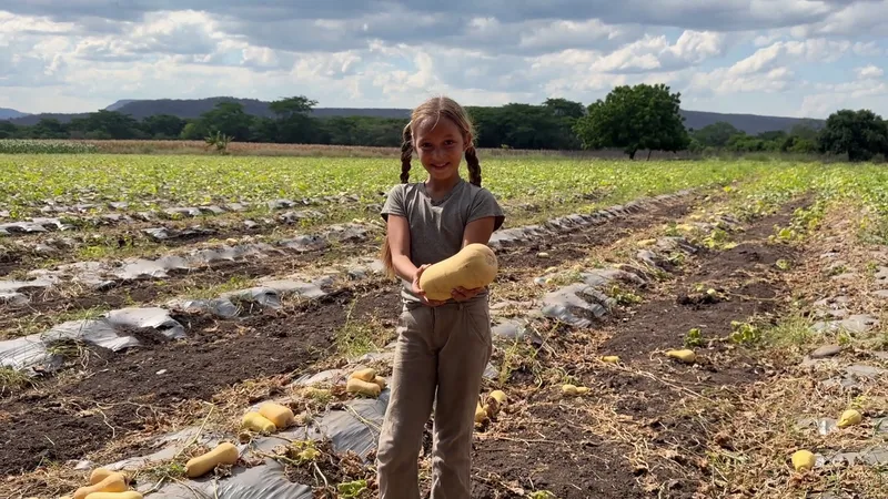 Productores de sébaco diversifican sus cultivos para el mercado nacional