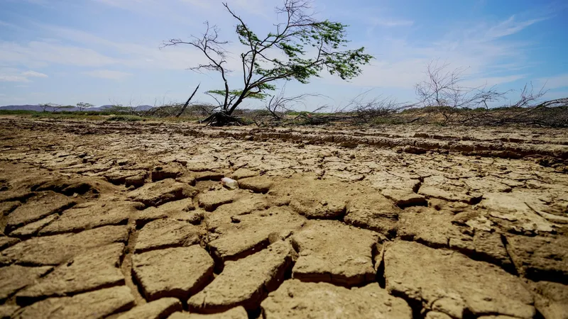 Una experta augura un repunte histórico de las temperaturas globales en 2027 a causa de El Niño