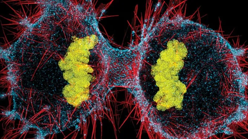 La IA acaba de cruzar una frontera de la biología: ya puede escribir genomas completos de virus funcionales. 16 diseños consiguieron infectar bacterias reales