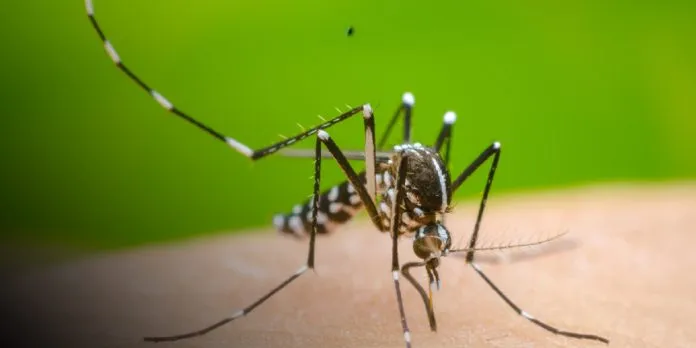 1. Reporte semanal refleja una baja en los casos de dengue