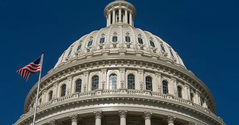 La hermana de Lindsey Graham ocupará su puesto en el Senado de EE.UU. hasta enero