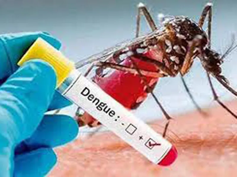Ecuador registra 32 mil 576 casos de dengue y 35 fallecidos