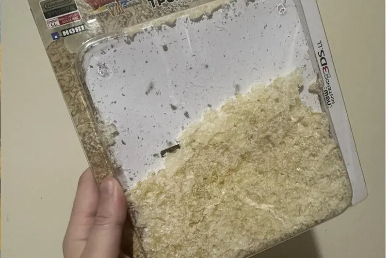 Guardó la funda original de su 3DS durante años y, al abrirla, descubrió que sólo había polvo. El motivo tiene toda la lógica del mundo