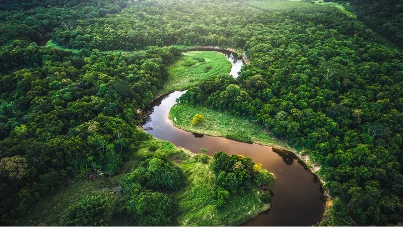 Hallan cientos de estructuras que “transforman por completo” lo que se creía de la Amazonía