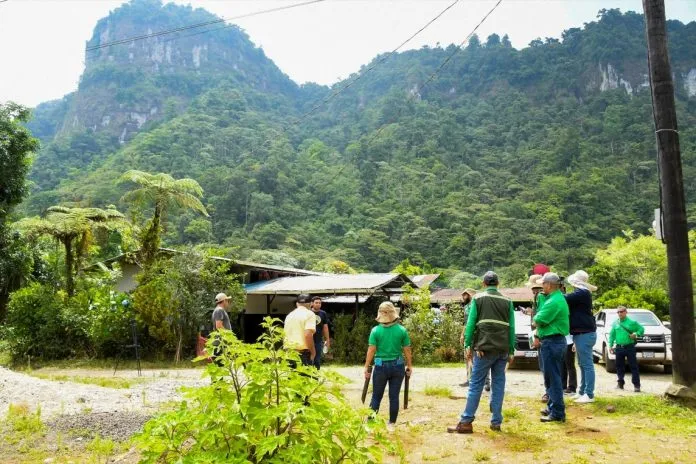 MARENA impulsa inventario forestal en Nicaragua