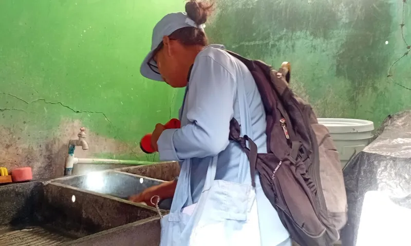 Fumigan viviendas en Batahola Sur para frenar dengue y chikungunya