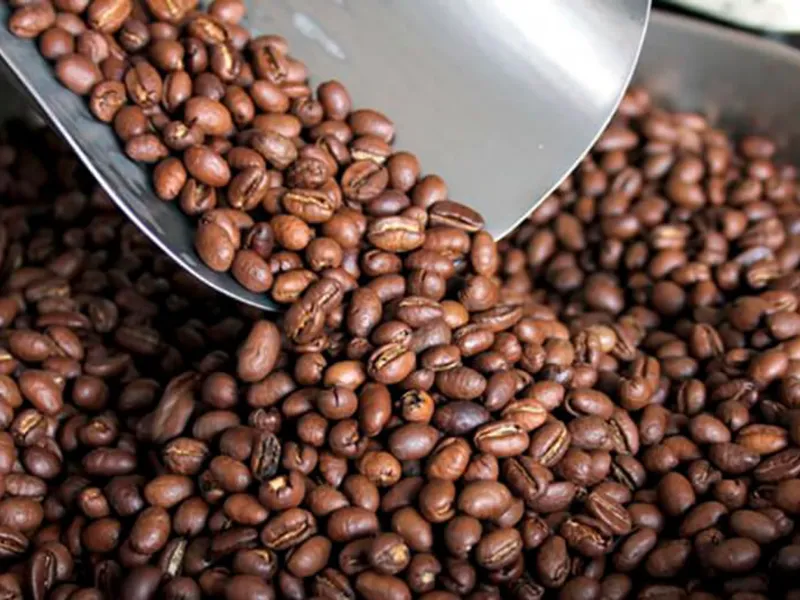 Declaran el 13 de noviembre Día Nacional del Café