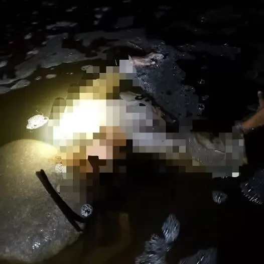Mujer es hallada sin vida dentro de una poza en Matagalpa