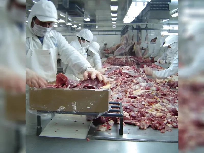 Carne Bovina entre principales productos de exportación