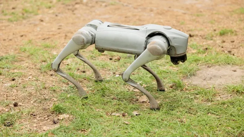 Un perro robot con IA patrulla viñedos y cultivos de moras en España. Su trabajo: saber antes que nadie cuándo está madura la fruta