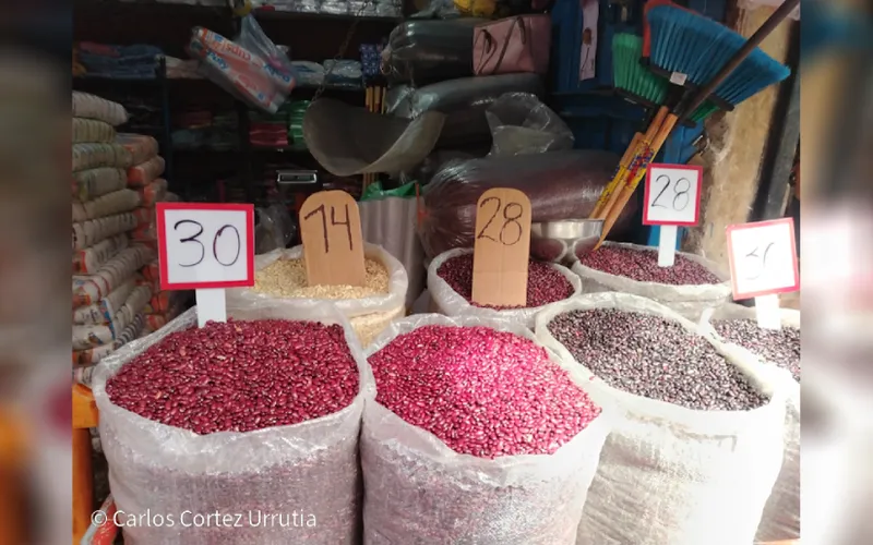 MIFIC reporta que 15 productos de la Canasta Básica mantienen su precio