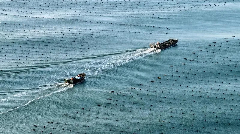 Economía marina de China registra crecimiento constante en primer semestre de 2026