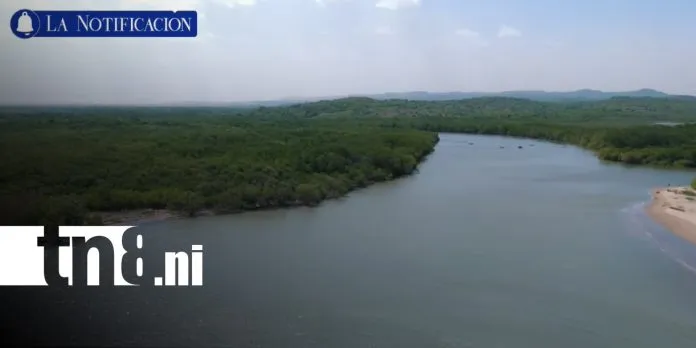 Isla Juan Venado, ejemplo de conservación de los manglares en Nicaragua