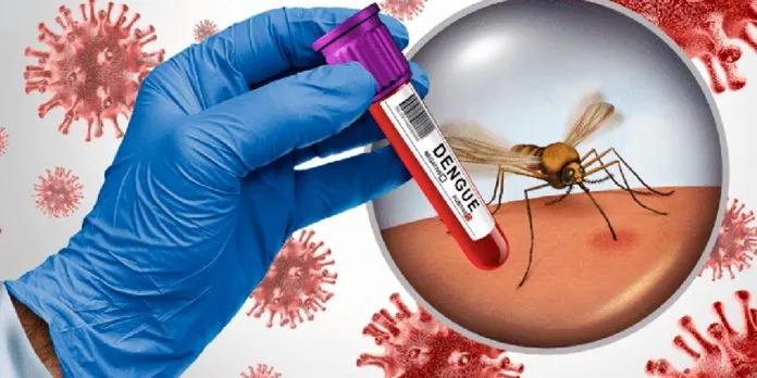 Nicaragua reporta menos casos de dengue y leptospirosis en la última semana