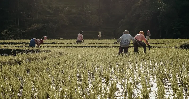 El calor extremo ya amenaza la vida de quienes producen los alimentos, advierte informe