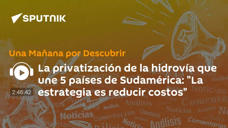 La privatización de la hidrovía que une 5 países de Sudamérica: "La estrategia es reducir costos"