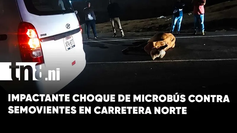 Fuerte accidente en carretera Norte tras impacto de microbús contra semovientes