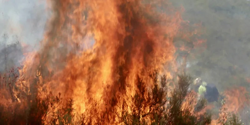Emergencia en Murcia, España: Infernales llamas arrasan 177 hectáreas (VIDEOS)