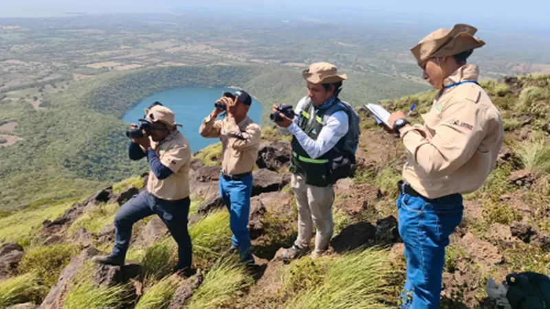 Monitoreos de biodiversidad del MARENA revela riqueza natural en el Complejo Volcánico Cerro Negro