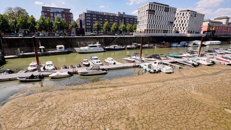 El río Rin podría perder su caudal habitual por la sequía