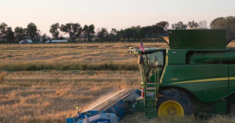 La IA gana terreno en el campo: agricultores la usan para tomar decisiones y gestionar sus operaciones