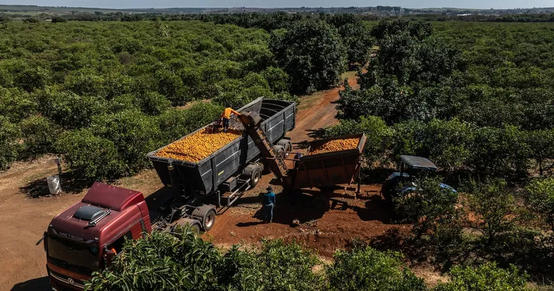 La victoria de Lula frustra las esperanzas del lobby agrícola brasileño de acercarse al poder