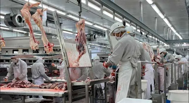 Nicaragua se consolida como principal exportador de carne en Centroamérica