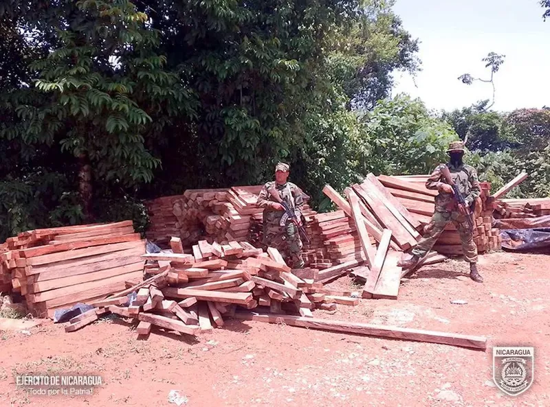 Ejército de Nicaragua incauta más de 6 mil pies tablares de madera ilegal en Muelle de los Bueyes