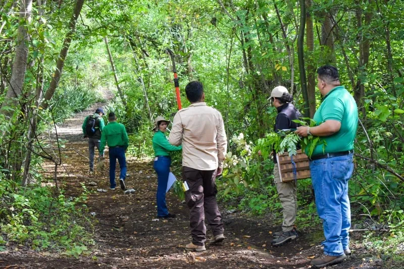 CUIDANDO NUESTROS BOSQUES