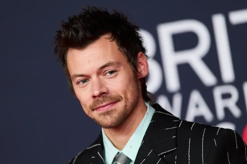 Harry Styles se desplomó durante concierto en Londres por el calor