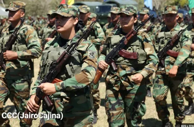 Ejército de Nicaragua desplegará más de 3000 efectivos para resguardar producción de café 2026-2027