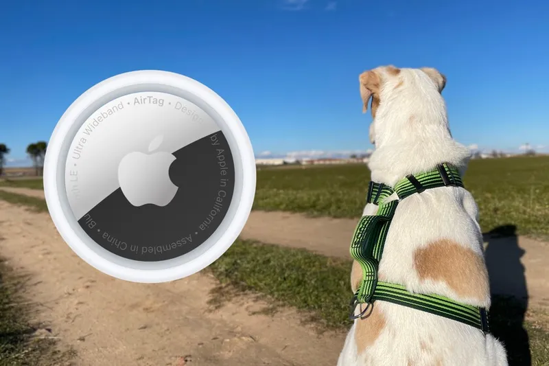 Un susto con mi perro me hizo descubrir el verdadero funcionamiento del AirTag
