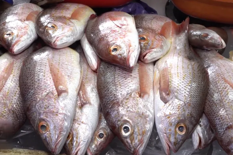 Mariscos mantienen sus precios, salvo el pargo rojo con C$10 de aumento