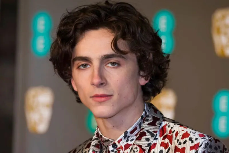 Timothée Chalamet posterga contratos millonarios en Hollywood