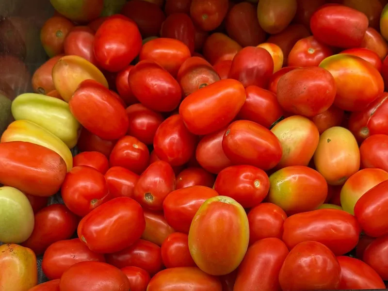 Tomate nicaragüense con potencial exportador