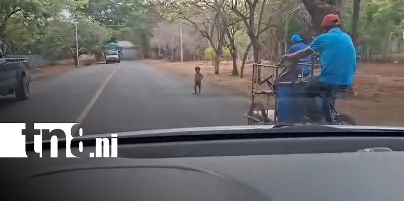 Peligrosa imprudencia en Tipitapa enciende llamado al cuido de los Niño