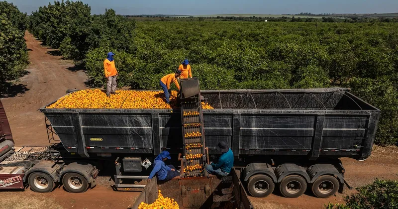 De la soja al jugo de naranja: por qué unas materias primas del agro subieron y otras cayeron