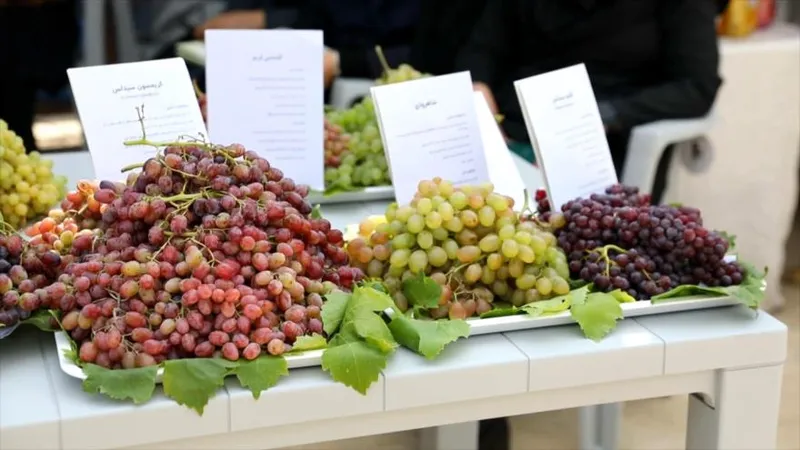 Irán promueve la agricultura local con el Festival de la Uva en Hazaveh