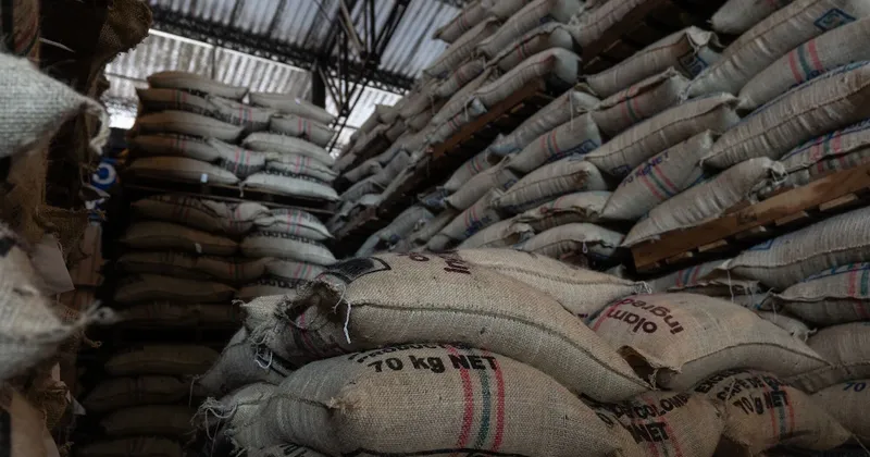 Exportaciones de café de Colombia están casi paralizadas tras el mortal sismo