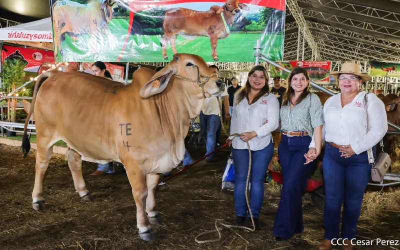 Feria Ganadera Internacional: espacio perfecto para el impulso económico y mejoramiento genético