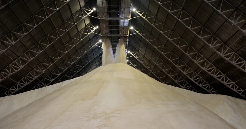 Brasil deja al mercado mundial del azúcar con menos información sobre su cosecha y producción